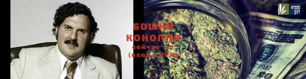 гидра Новосибирск