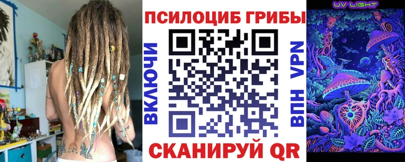 Купить  Островной  Галлюциногенные грибы Cubensis 